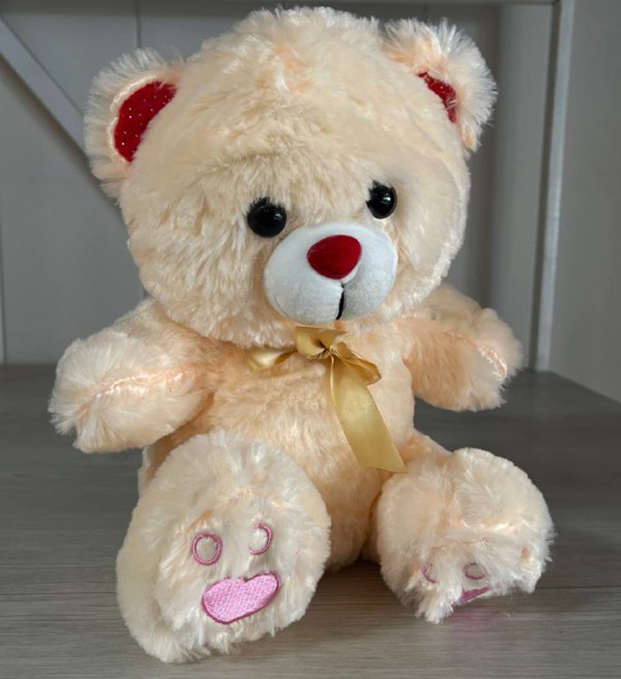 خرس رنگی پاپنجه ای کد6645