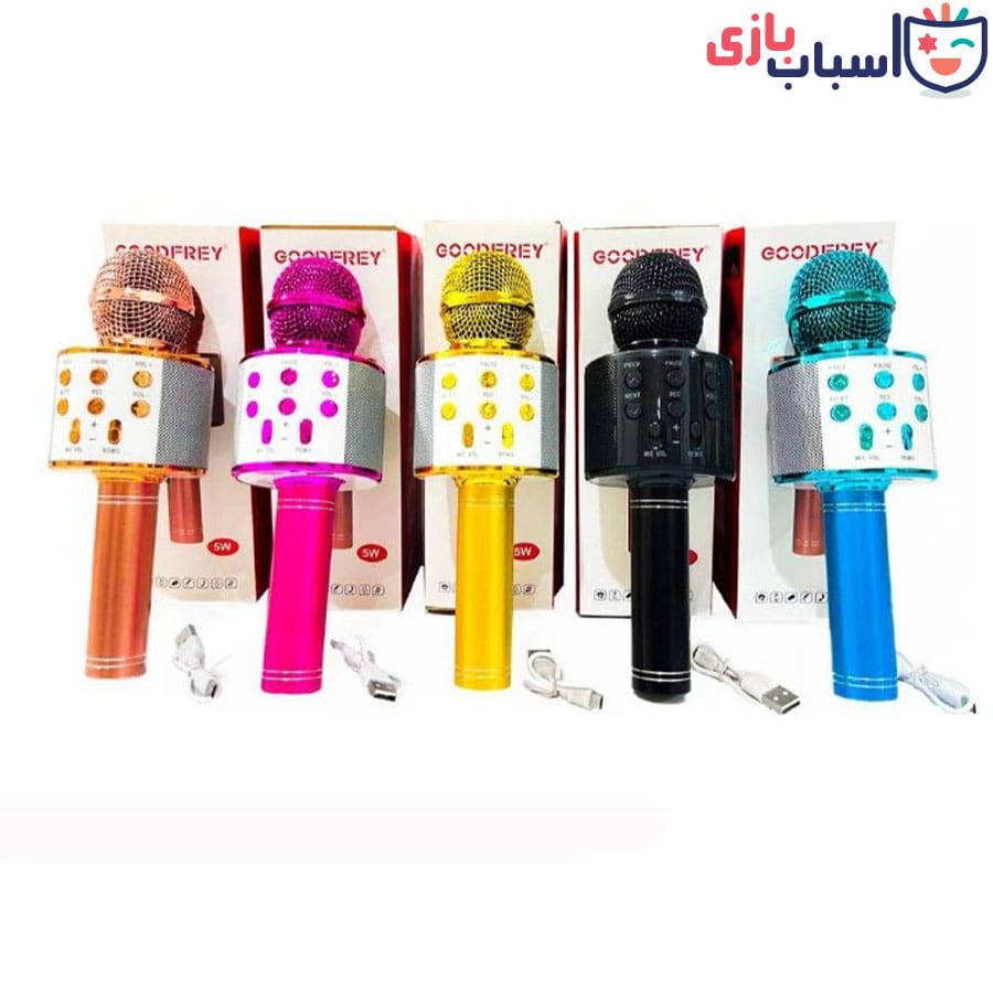 میکروفون شارژی 858